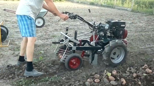 УРОЖАЙ 2021 УБОРКА КАРТОФЕЛЯ смотреть онлайн