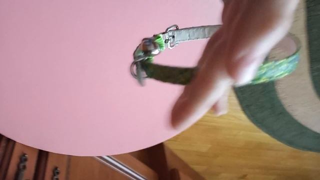 Все вещи моих питомцев ((Первое видео))