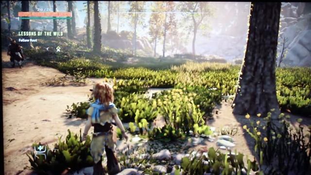 AMD SAPPHIRE R9 270X 4GB "RARE" Gaming Review in 2022 смотреть онлайн