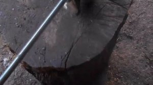 САМОДЕЛЬНАЯ СЕЯЛКА ДЛЯ СВЕКЛЫ,КУКУРУЗЫ!!! ЧАСТЬ 1