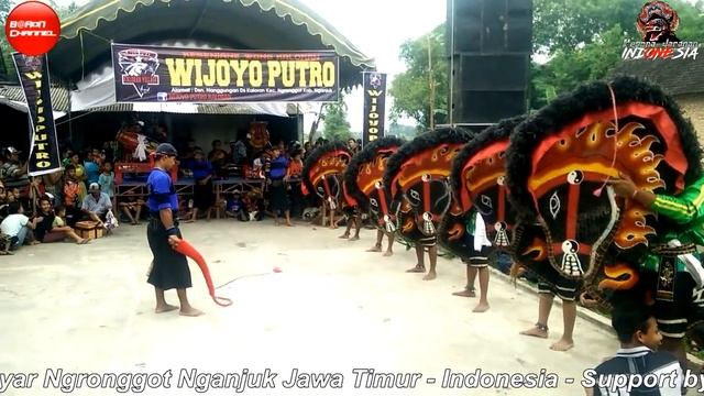 Jaranan Wijoyo Putro Kaloran Villange Terbaru Live Pulosari | Traditional Dance Of Java смотреть онлайн
