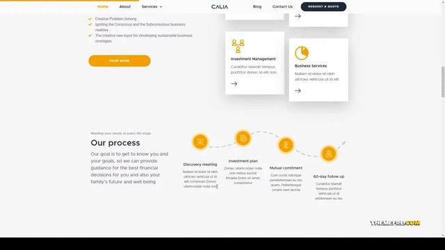 Calia - Business and Management WordPress Theme consulting financial advisor Mizushima смотреть онлайн