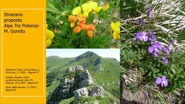Fiori e piante delle Alpi Apuane e dell’Appennino e principali cambiamenti del paesaggio смотреть онлайн
