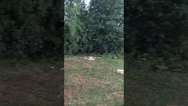 Привезли пиломатериалы для нашего домика #Shorts смотреть онлайн