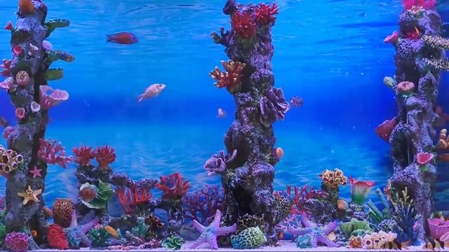 Свадебное платье напрокат