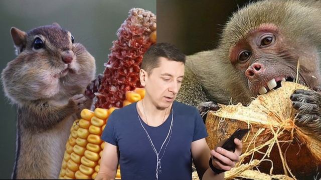 СКОЛЬКО СТОИТ БЫТЬ СЫРОЕДОМ? смотреть онлайн