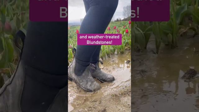 What Shoes to Wear at the Chilliwack Tulip Festival ☂️ 🌷 смотреть онлайн