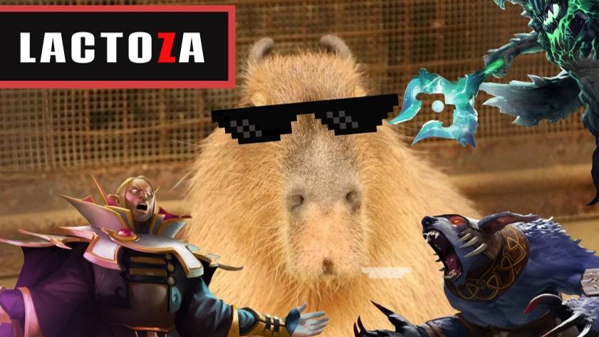 Dota Play (Поддержка СВОих)