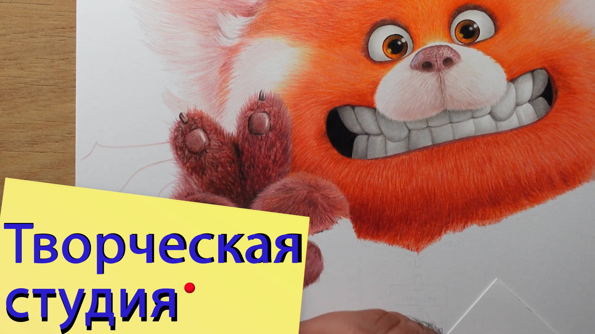 Карандаши. Рыжая панда