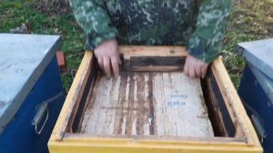 Как Правильно Зимовать в Пеноулике и Дереве!!!