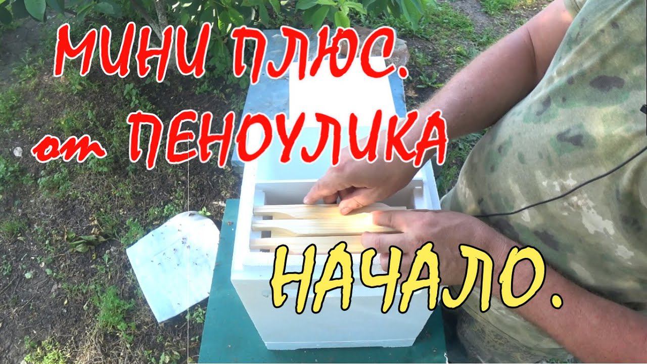 МИНИ ПЛЮС, НАЧАЛО. смотреть онлайн