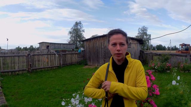 Эльвира отвечает на вопросы губернатора на канале Русский Север смотреть онлайн