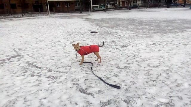 Джес5 смотреть онлайн