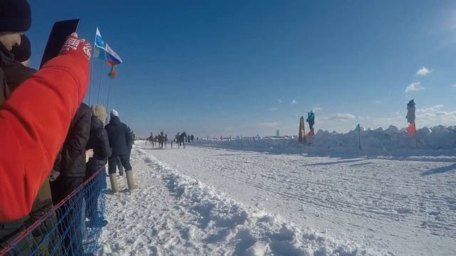 КОННЫЕ СКАЧКИ 23 ФЕВРАЛЯ 2019 год СЕЛО ГОЛУБКОВСКОЕ смотреть онлайн