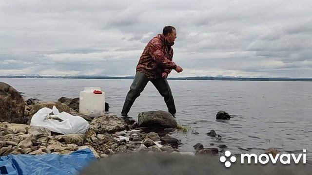 #рыбалка РЯПУШКА СЫРОК СТОЛЬКО РЫБЫ Я ЕЩЁ НЕ ЛОВИЛ смотреть онлайн