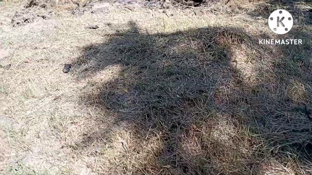 Закончила уборку/нужен совет/пробуем первый арбуз в этом году/переезд на юг/Finished cleaning/ смотреть онлайн