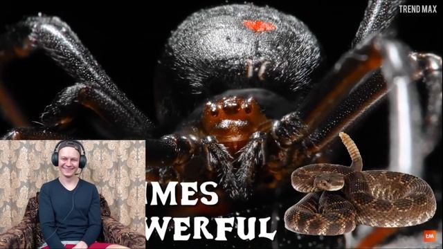 Russian Guy Reacts to The Most DANGEROUS ANIMALS In The UNITED STATES ?? смотреть онлайн