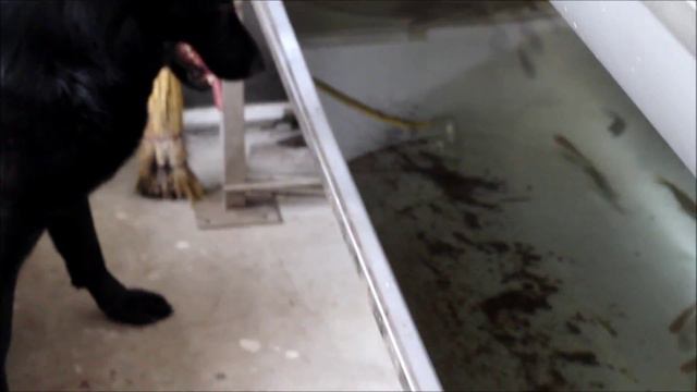 Софрино БЭК смотреть онлайн