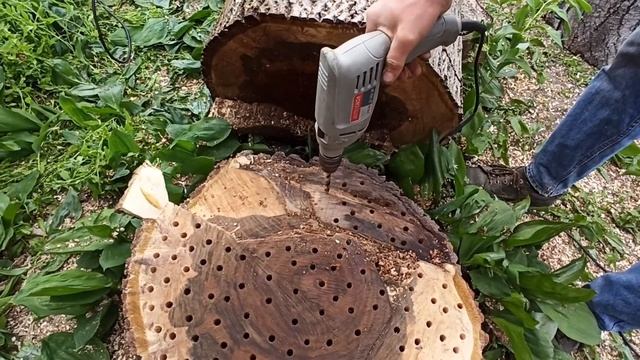 Как удалить пень на участке без корчевания смотреть онлайн