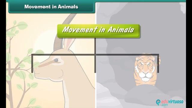 Class 5 - EVS - Animal Life style | FREE Tutorial смотреть онлайн