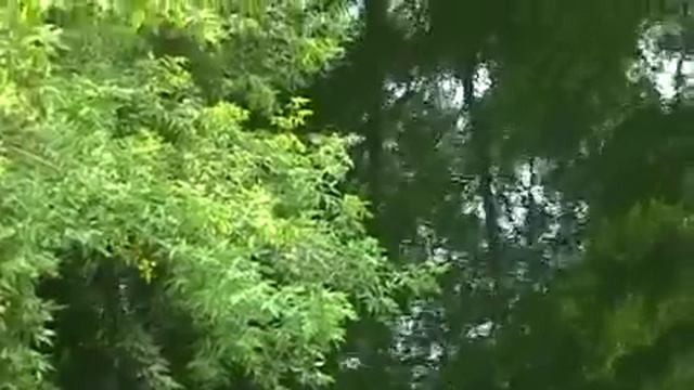 Холодный канал.flv смотреть онлайн