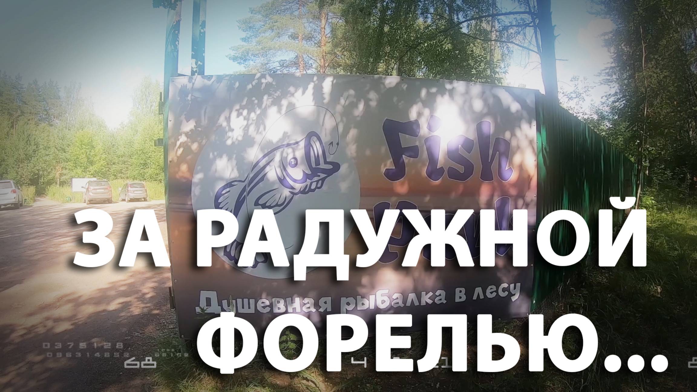 Ловля радужной форели. FishPark