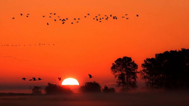 Ryan Farish - Warmth of the Sun смотреть онлайн