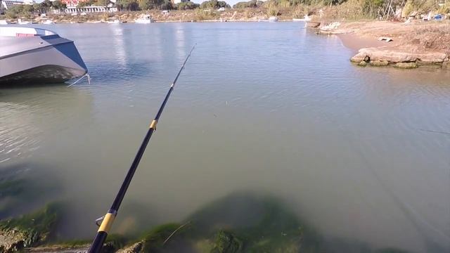 Рыбалка в Анталии 21.11.2018 Fishing in Antalya21/11/2018 смотреть онлайн