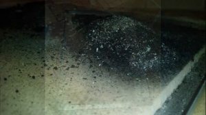 Ремонт :   Газовый настенный котел Protherm Пантера 24 KOO