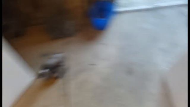 Инкубация из яиц домашних кур. 9 мая. Шашлык под дождем. смотреть онлайн