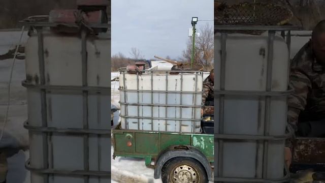 Платная рыбалка, пруд Чёрные камни 27.03.21. Запуск карпа. смотреть онлайн