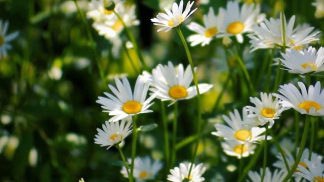 Почему нельзя неправильно говорить сколько нам лет / Метафизические встречи с Сюзанной Аветисян. 8 смотреть онлайн