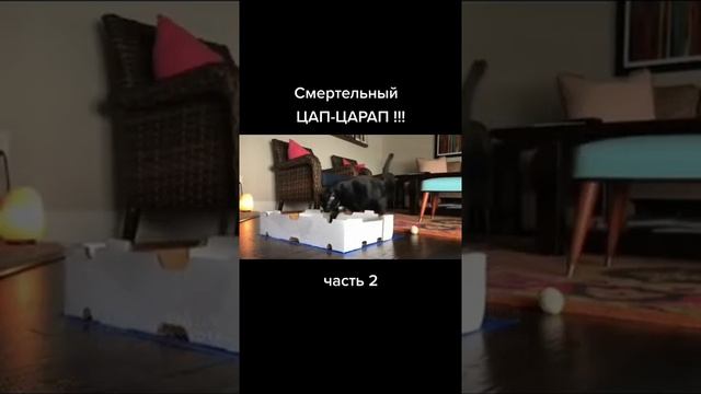 Смертельный цап-царап ч.2