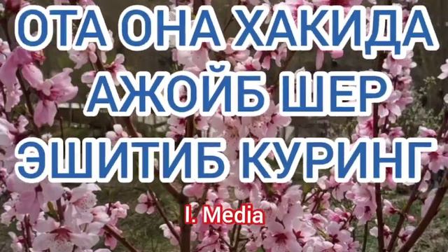 ОТА ОНА ХАКИДА АЖОЙБ ШЕР ЭШИТИБ КУРИНГ смотреть онлайн