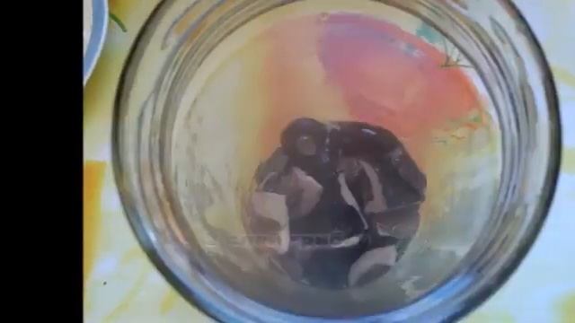 Чистка с безупречностью