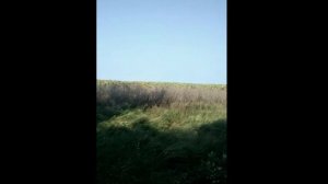 Турки  (лаг Зорька).