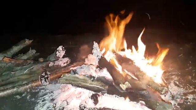 ПОВЫШАЕМ ВИБРАЦИИ, ПОЗИТИВНЫЕ ЭНЕРГИИ, ОКЕАН, ЛАЙФХАК как сделать вилку своими руками смотреть онлайн