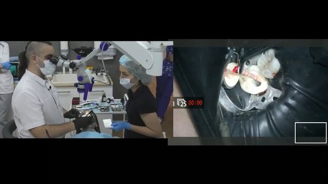 Запись с живого мастер-класса на пациенте. Красноярск 2018 смотреть онлайн