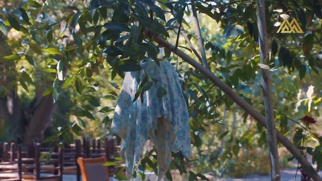 Daxshat Xonqa Qoraqoshdagi Dacha ANVAR MEDIA XONQA MUROJAAT UCHUN TEL 88-362-42-42,94-915-81-10 смотреть онлайн