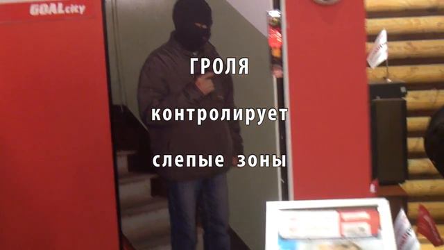 Электронный телохранитель для дома - Гроля