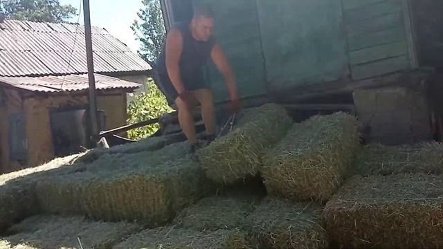 Сенохранилище смотреть онлайн