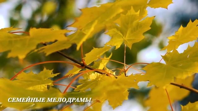 Годами угождала мужу, а он вышвырнул её как собаку, спустя пару лет увидев её бросился в ноги... смотреть онлайн