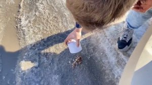 Не заводиться Газель Бизнес 4216