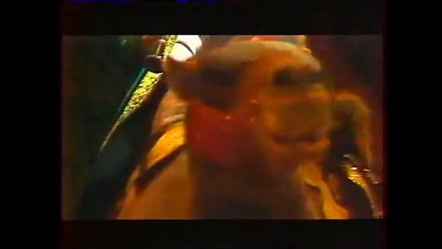 Uralsky Dixieland(Уральский Диксиленд) "Корабли пустыни" TV Челябинск филармония смотреть онлайн