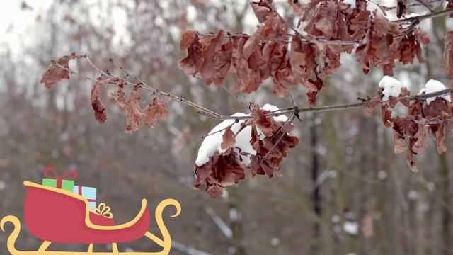 ЗИМА смотреть онлайн