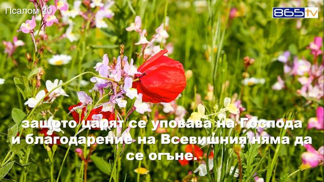 Псалом 20 смотреть онлайн