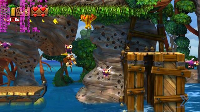 Donkey Kong Country: Tropical Freeze PC