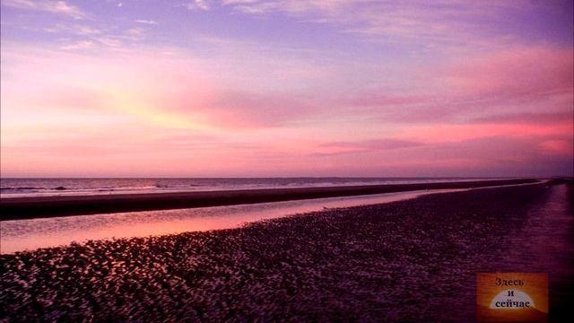 Настоящий момент. Экхарт Толле смотреть онлайн