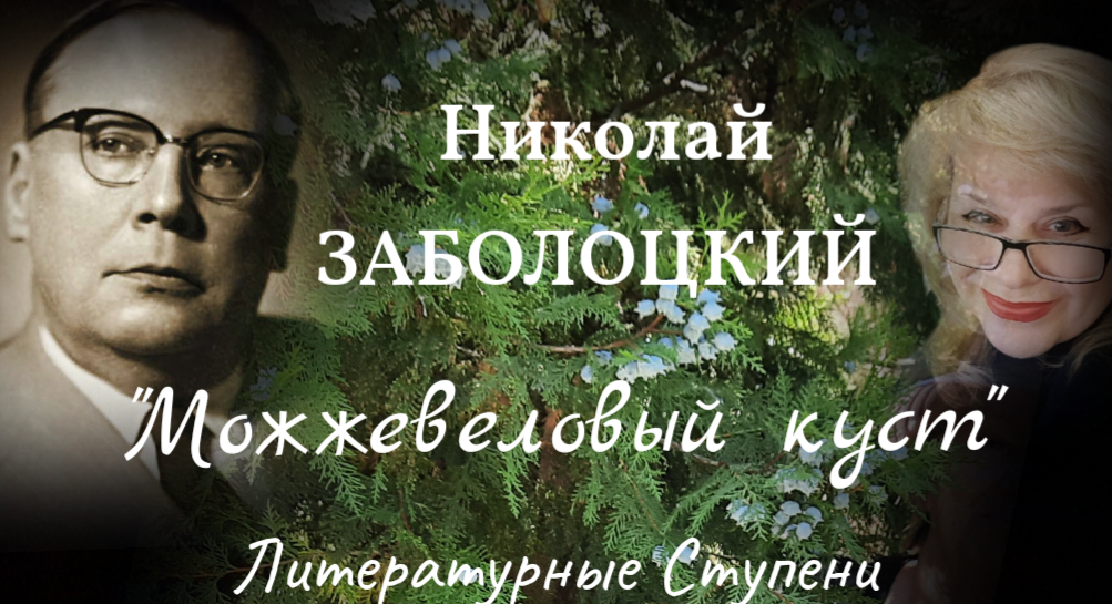 НИКОЛАЙ ЗАБОЛОЦКИЙ "МОЖЖЕВЕЛОВЫЙ КУСТ" смотреть онлайн