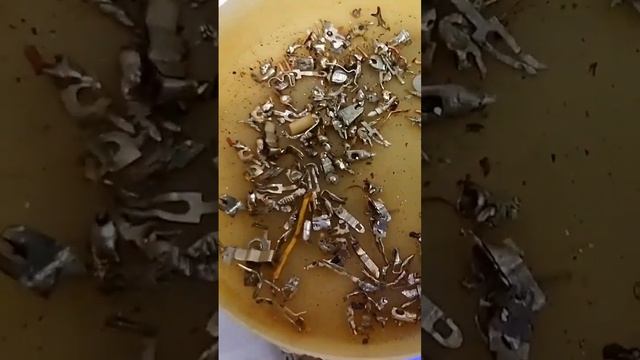 КАК ДОБЫВАЮТ ОЛОВО ПРИПОЙ #ОЛОВО #ПРИПОЙ #ПЛАТЫ #РАЗБОР #ЭЛЕКТРОНИКА #ДОБЫЧА #ДРАГМЕТАЛЛЫ #CAPITALT смотреть онлайн